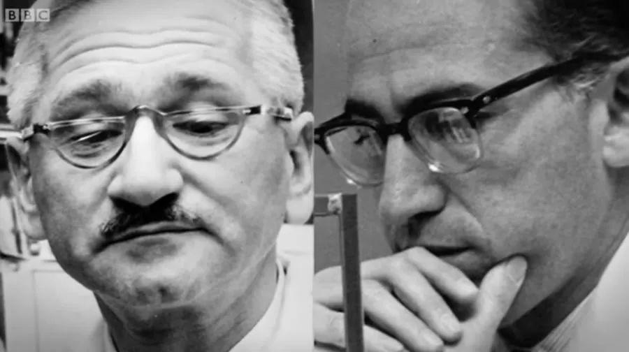 两个人的疫苗战争 两个人的疫苗战争