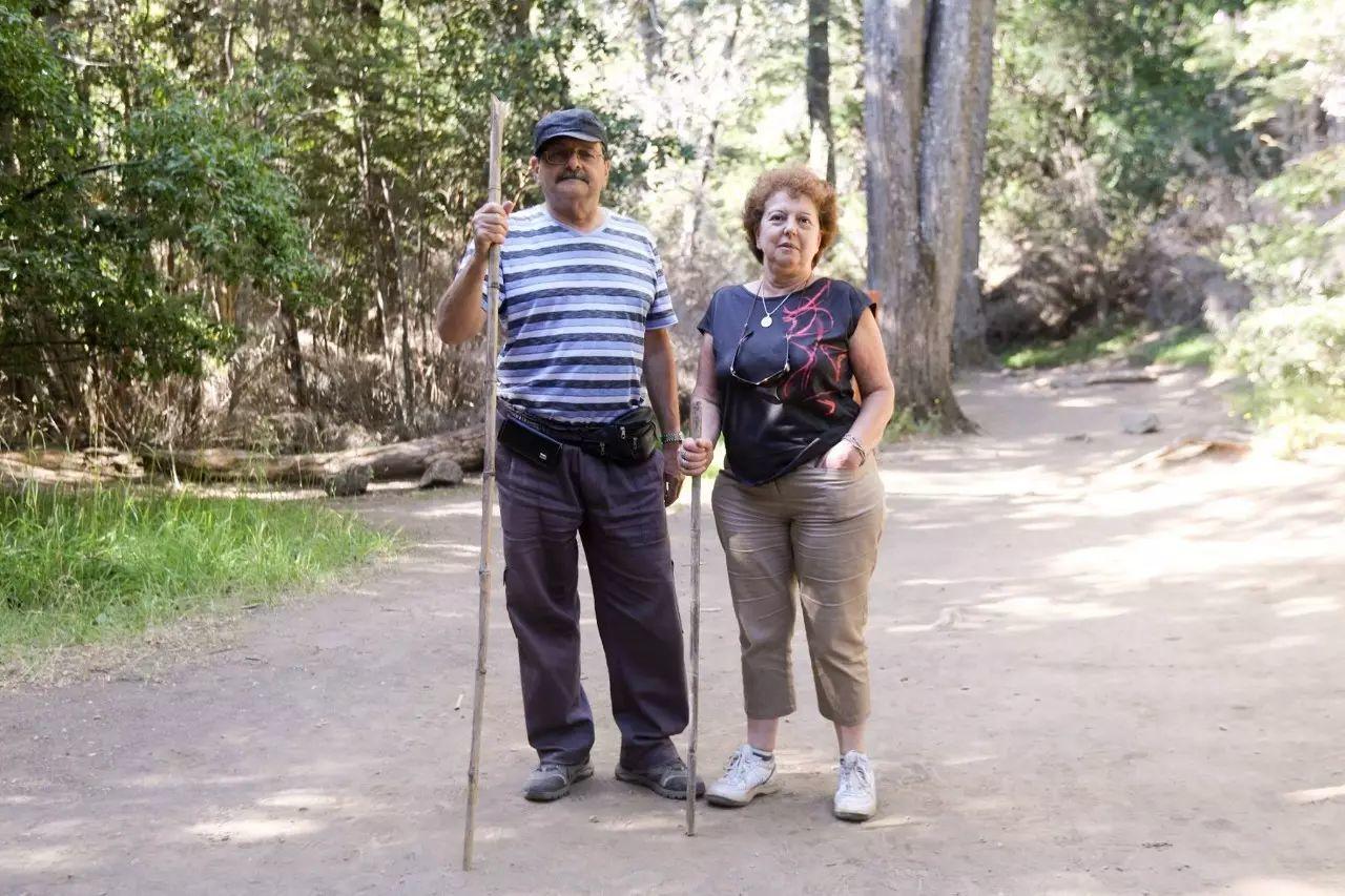 这22碗狗粮你一定要尝一下。 这22碗狗粮你一定要尝一下。