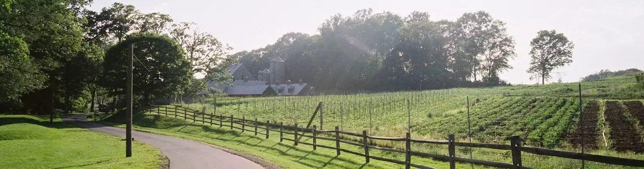 一个不起眼的偏僻小餐厅,如何变成了美国上流社会的聚集地? 一个不起眼的偏僻小餐厅,如何变成了美国上流社会的聚集地?