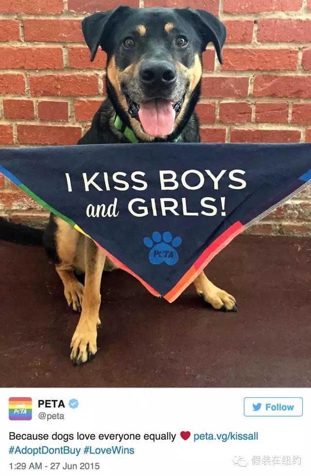 #love wins | 昨夜美国彩虹旗营销大战中的经典案例 #love wins | 昨夜美国彩虹旗营销大战中的经典案例