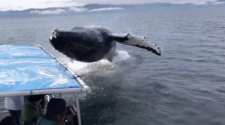 换个角度,2018年挺好的,人间值得 换个角度,2018年挺好的,人间值得