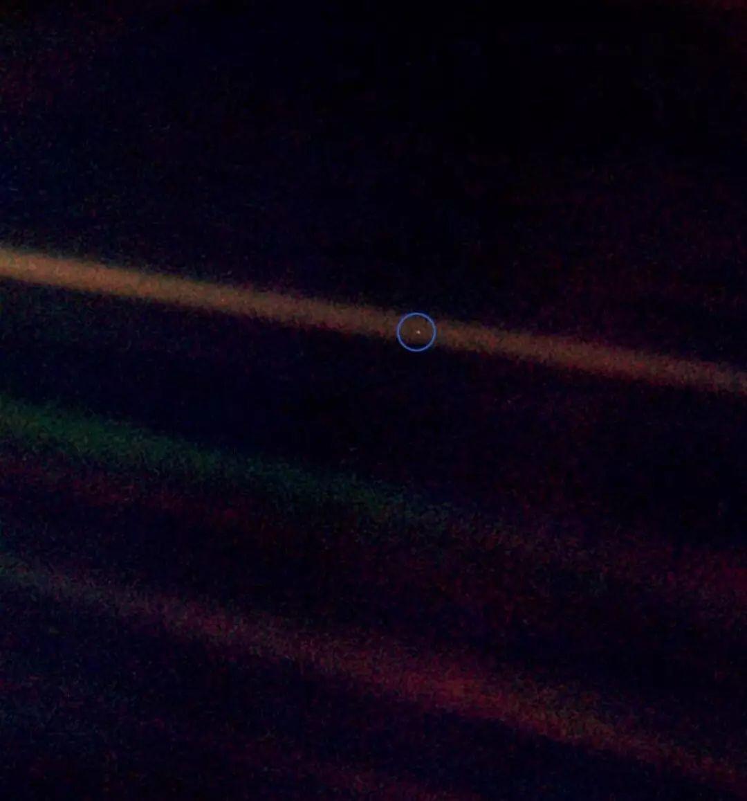 没有了表情包,你就不会好好说话了吗? 没有了表情包,你就不会好好说话了吗?