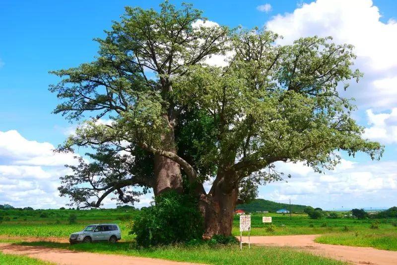 如果你也在计划新年第一场旅行,这一次让我们去个不一样的地方 如果你也在计划新年第一场旅行,这一次让我们去个不一样的地方