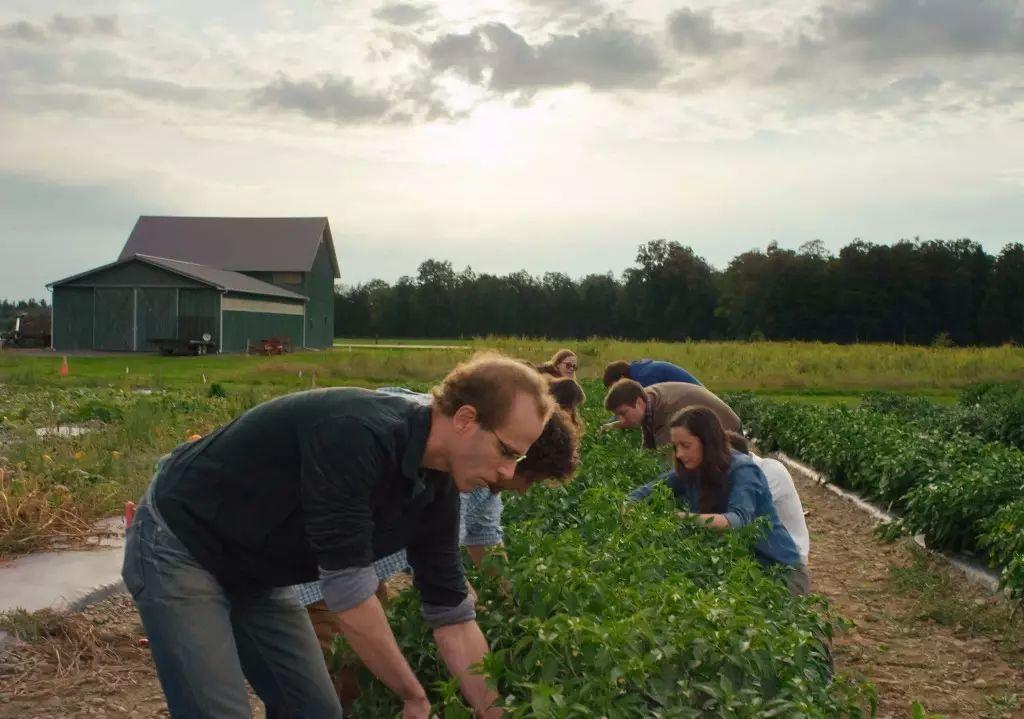 一个不起眼的偏僻小餐厅,如何变成了美国上流社会的聚集地? 一个不起眼的偏僻小餐厅,如何变成了美国上流社会的聚集地?