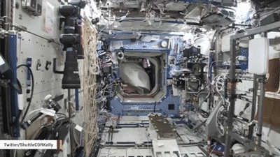 今天,全世界都在欢迎他们回家 今天,全世界都在欢迎他们回家