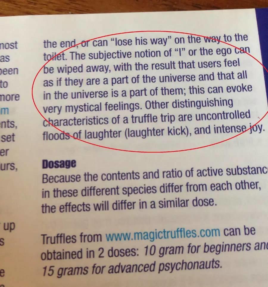 在阿姆斯特丹吃迷幻蘑菇是一种什么样的体验? 在阿姆斯特丹吃迷幻蘑菇是一种什么样的体验?