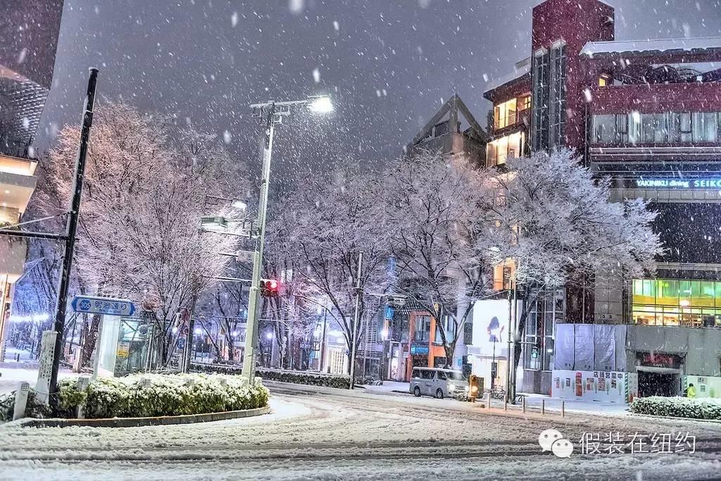 听说今天东京下了第一场雪,这张照片把我吓到了 听说今天东京下了第一场雪,这张照片把我吓到了