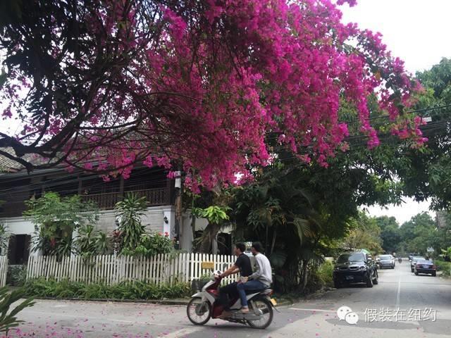 没有审美力是绝症,知识也解救不了 没有审美力是绝症,知识也解救不了