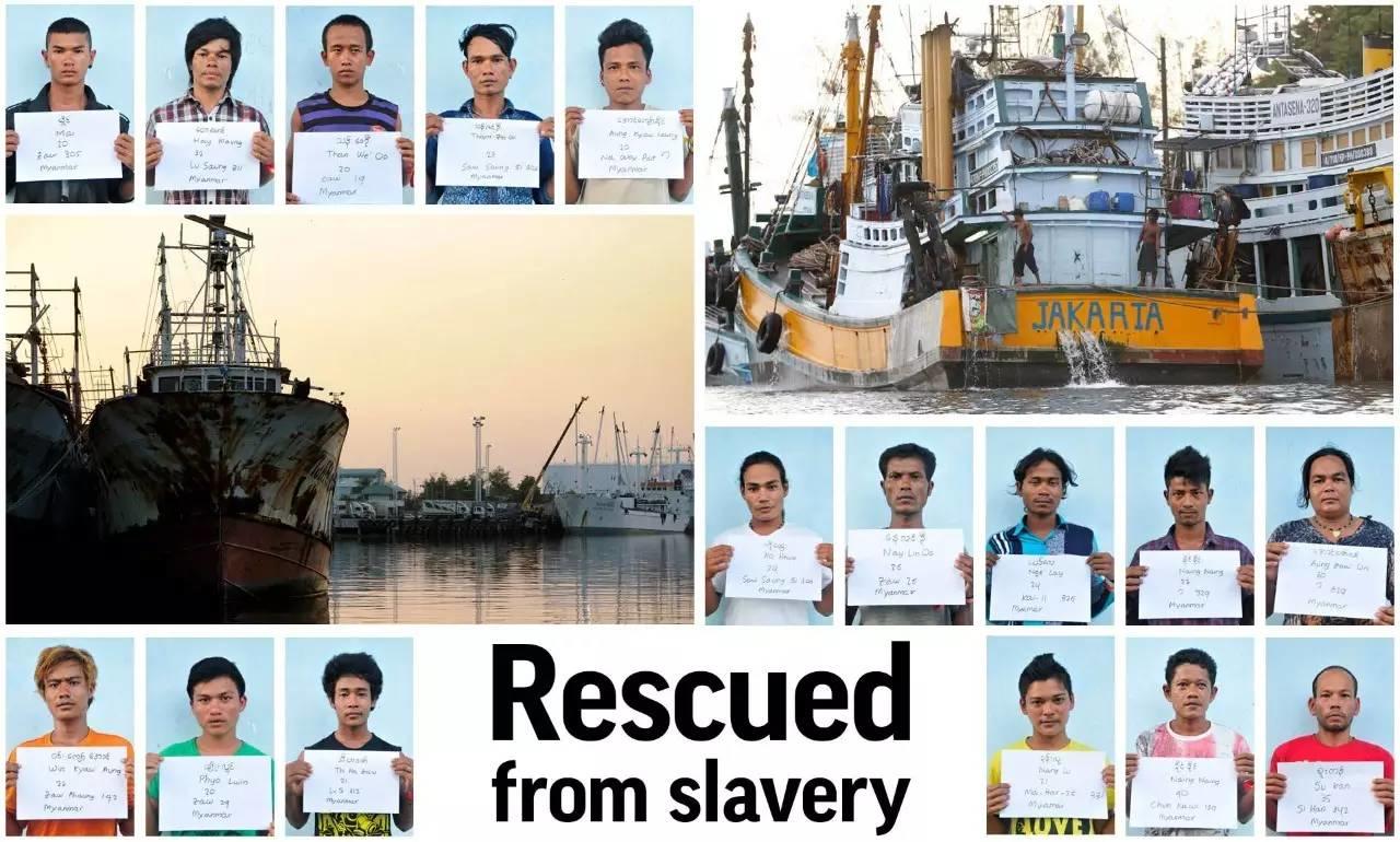 你吃的每条鱼都可能沾着另一个人的血和泪 | 2015年最牛逼的故事 你吃的每条鱼都可能沾着另一个人的血和泪 | 2015年最牛逼的故事