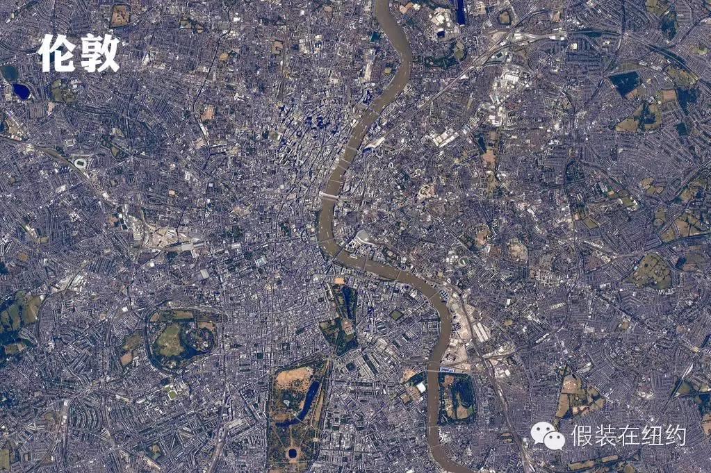 今天,全世界都在欢迎他们回家 今天,全世界都在欢迎他们回家