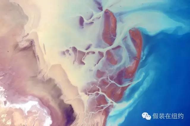 今天,全世界都在欢迎他们回家 今天,全世界都在欢迎他们回家