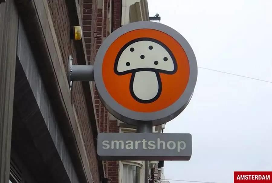 在阿姆斯特丹吃迷幻蘑菇是一种什么样的体验? 在阿姆斯特丹吃迷幻蘑菇是一种什么样的体验?