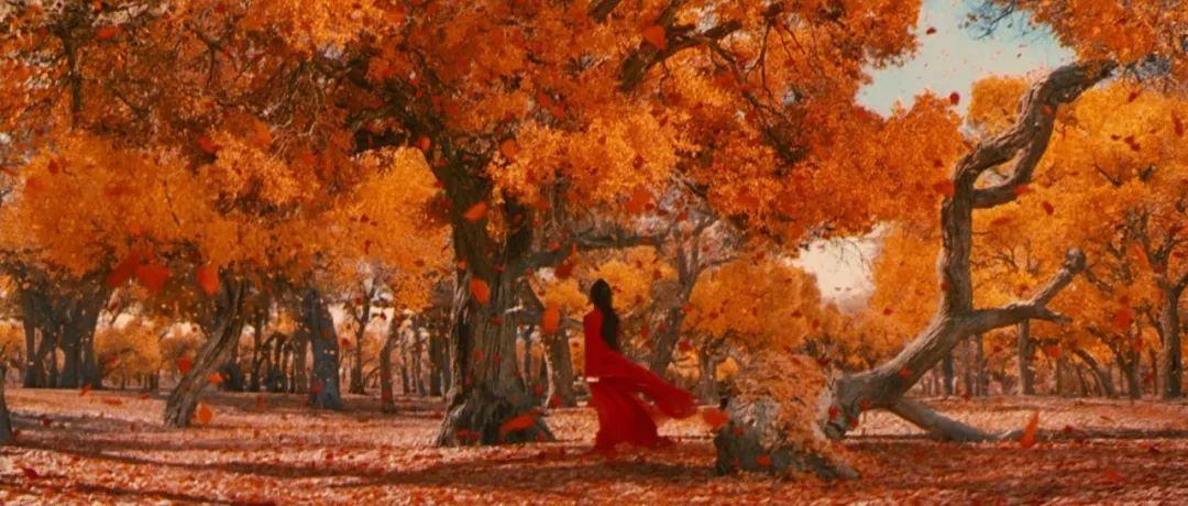 如果你有机会开上这条中国最美公路,请不要忘记那些默默守护它的人们 如果你有机会开上这条中国最美公路,请不要忘记那些默默守护它的人们