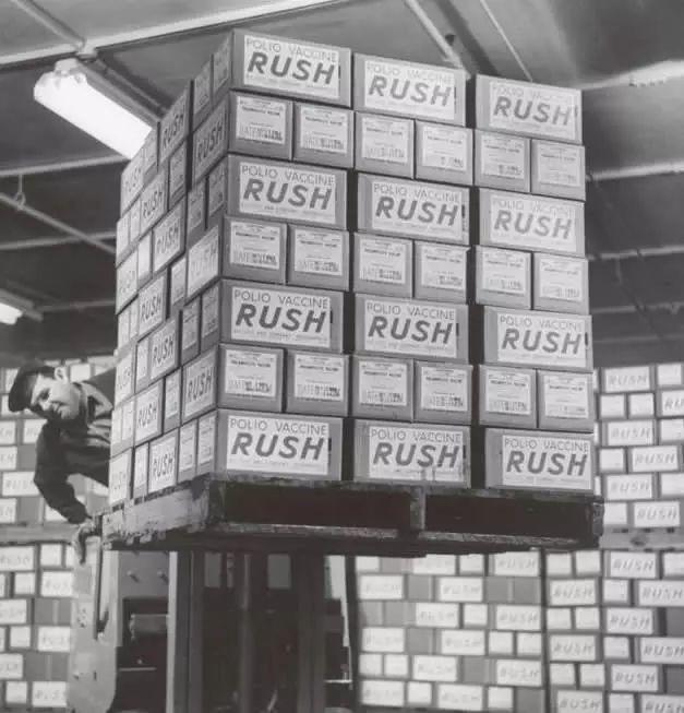 两个人的疫苗战争 两个人的疫苗战争