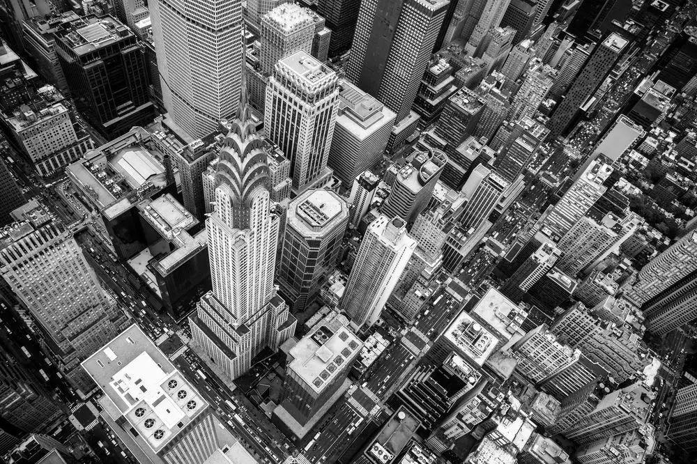 Lady M 和 Shake Shack 为什么争着跑到上海开店? Lady M 和 Shake Shack 为什么争着跑到上海开店?