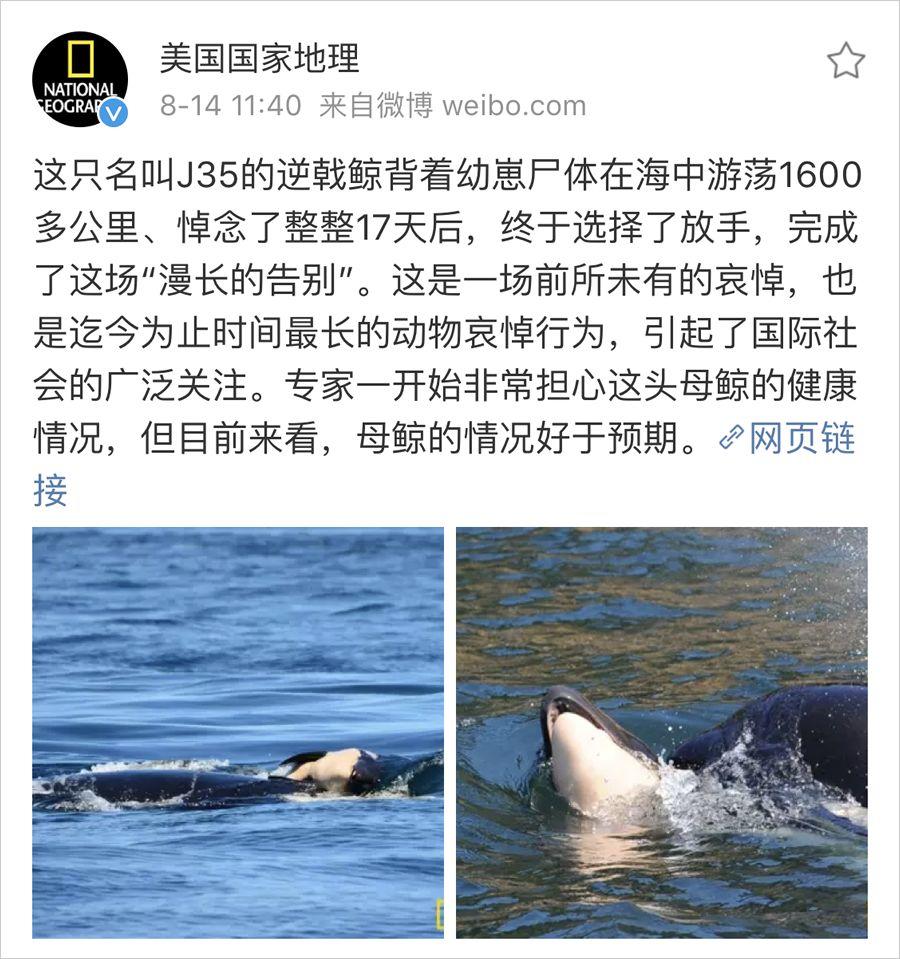 那个在西雅图偷飞机的年轻人 那个在西雅图偷飞机的年轻人