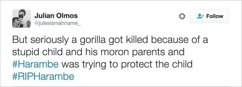 当全世界在为一只大猩猩的死愤怒的时候,1000个人正在地中海里静静地死去 当全世界在为一只大猩猩的死愤怒的时候,1000个人正在地中海里静静地死去