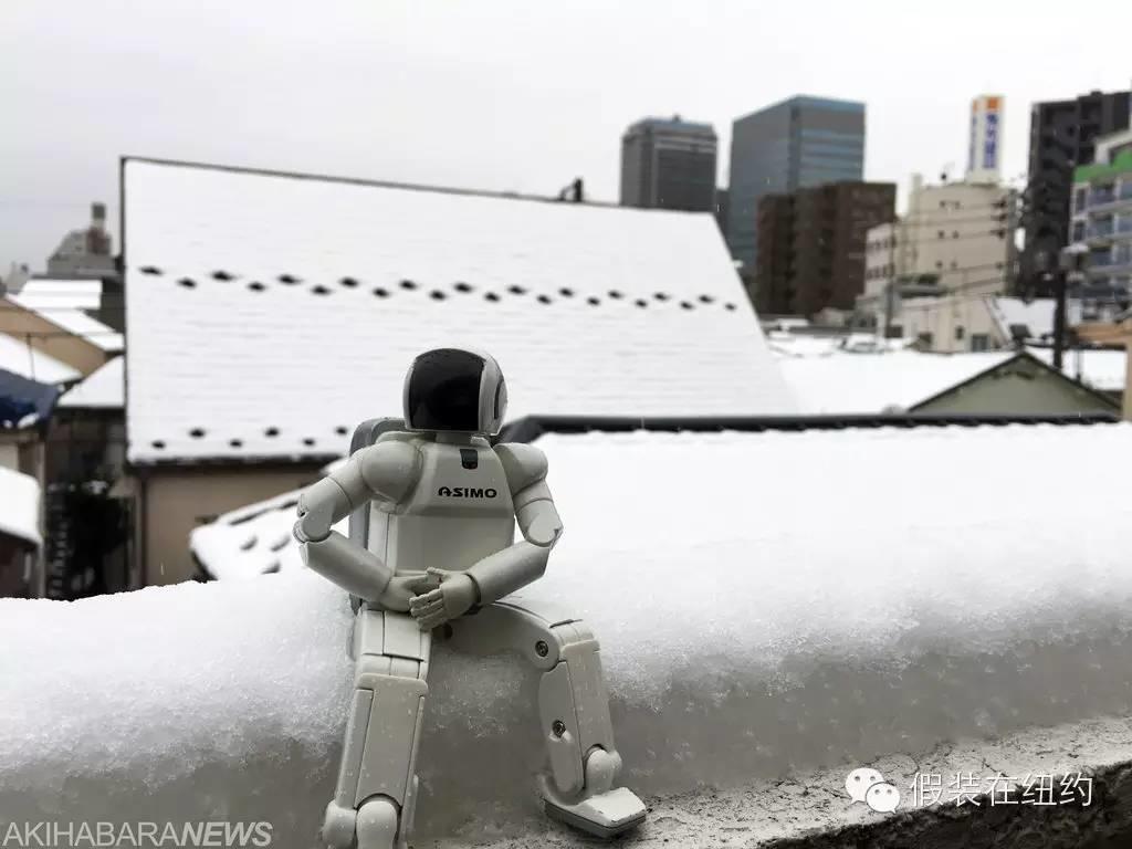 听说今天东京下了第一场雪,这张照片把我吓到了 听说今天东京下了第一场雪,这张照片把我吓到了