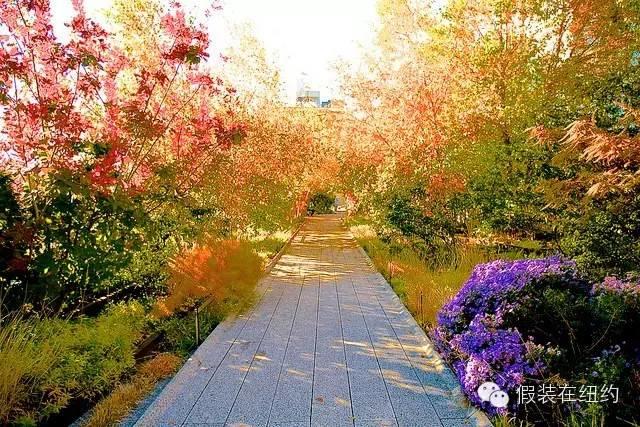 一段废弃的铁路造就的传奇 一段废弃的铁路造就的传奇