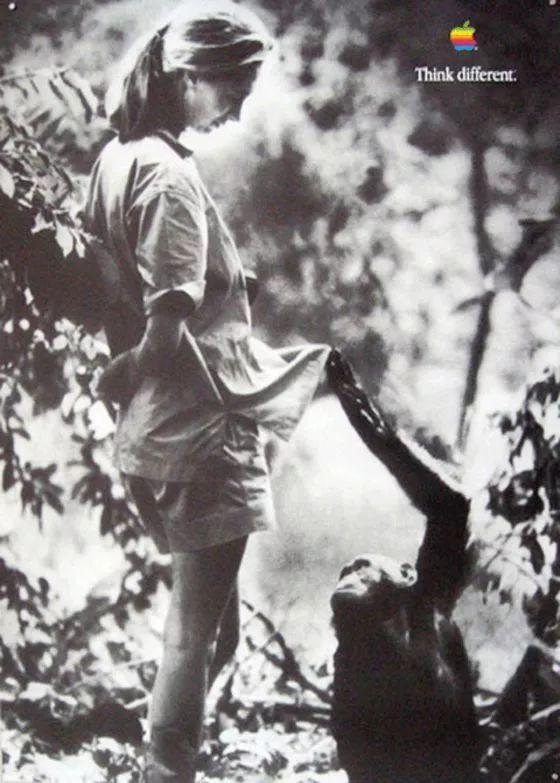 别再吹苹果的不一样了,苹果成功的原因不是因为它与众不同 别再吹苹果的不一样了,苹果成功的原因不是因为它与众不同