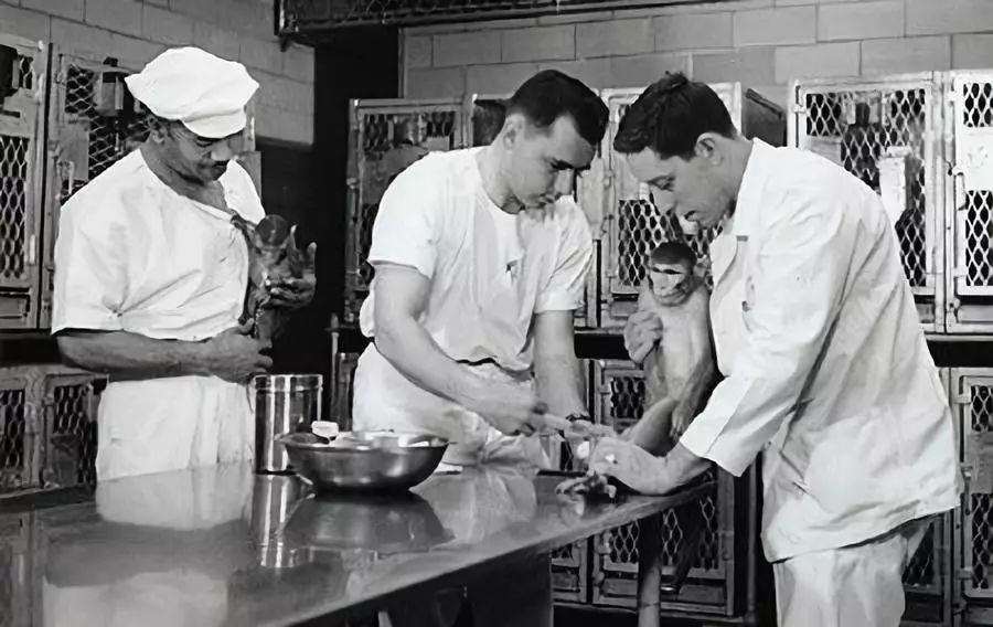 两个人的疫苗战争 两个人的疫苗战争