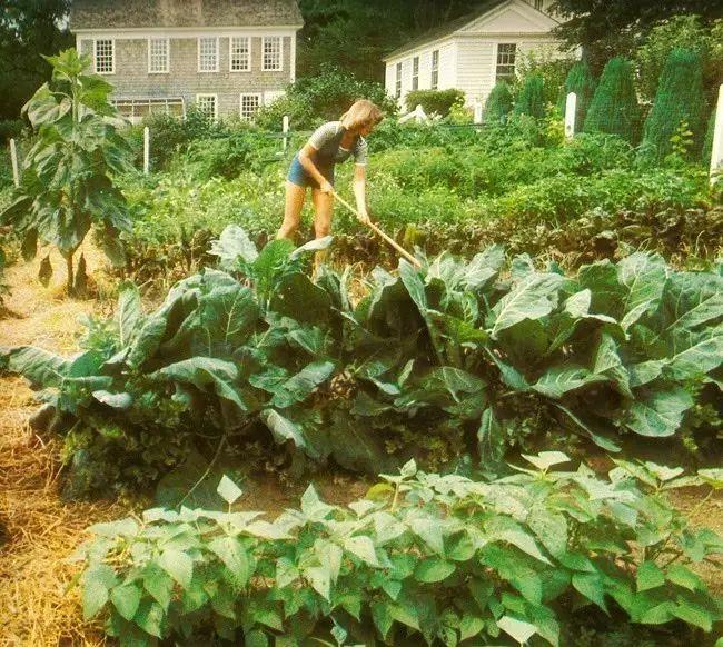 是时候了,中国应该有这样一个女人出现了 是时候了,中国应该有这样一个女人出现了