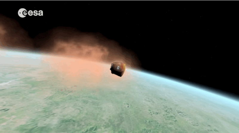 今天,全世界都在欢迎他们回家 今天,全世界都在欢迎他们回家