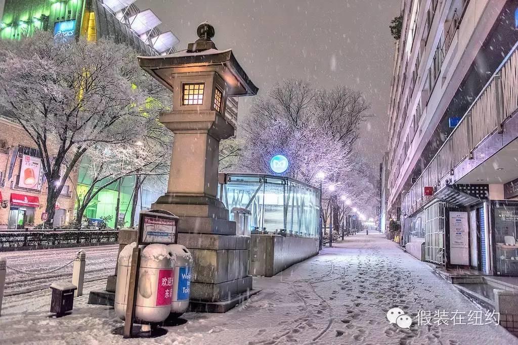 听说今天东京下了第一场雪,这张照片把我吓到了 听说今天东京下了第一场雪,这张照片把我吓到了