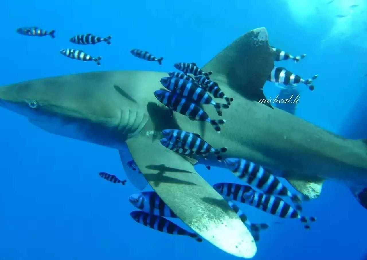 如果你也在计划新年第一场旅行,这一次让我们去个不一样的地方 如果你也在计划新年第一场旅行,这一次让我们去个不一样的地方