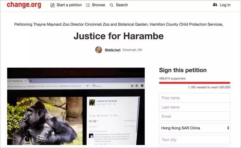 当全世界在为一只大猩猩的死愤怒的时候,1000个人正在地中海里静静地死去 当全世界在为一只大猩猩的死愤怒的时候,1000个人正在地中海里静静地死去