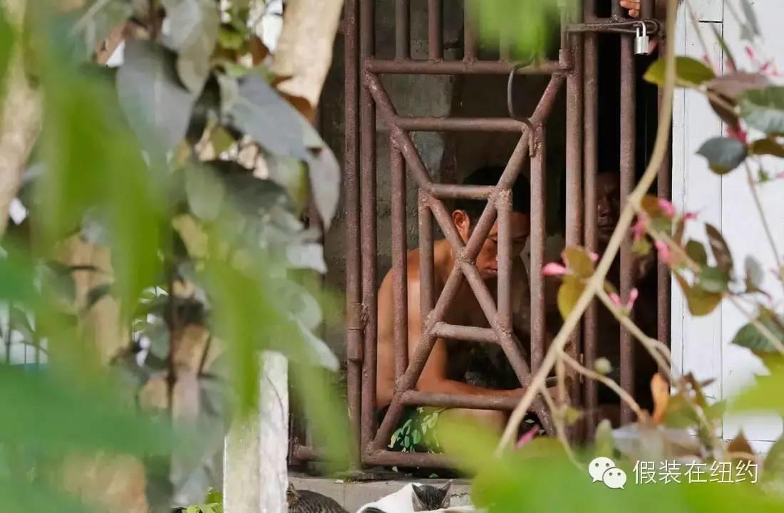 你吃的每条鱼都可能沾着另一个人的血和泪 | 2015年最牛逼的故事 你吃的每条鱼都可能沾着另一个人的血和泪 | 2015年最牛逼的故事