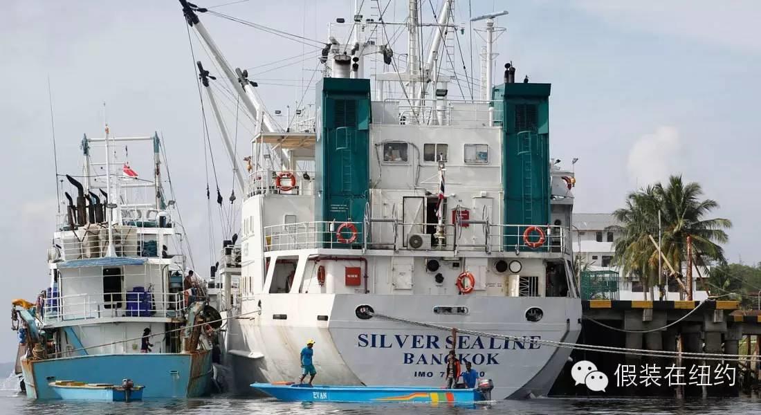 你吃的每条鱼都可能沾着另一个人的血和泪 | 2015年最牛逼的故事 你吃的每条鱼都可能沾着另一个人的血和泪 | 2015年最牛逼的故事