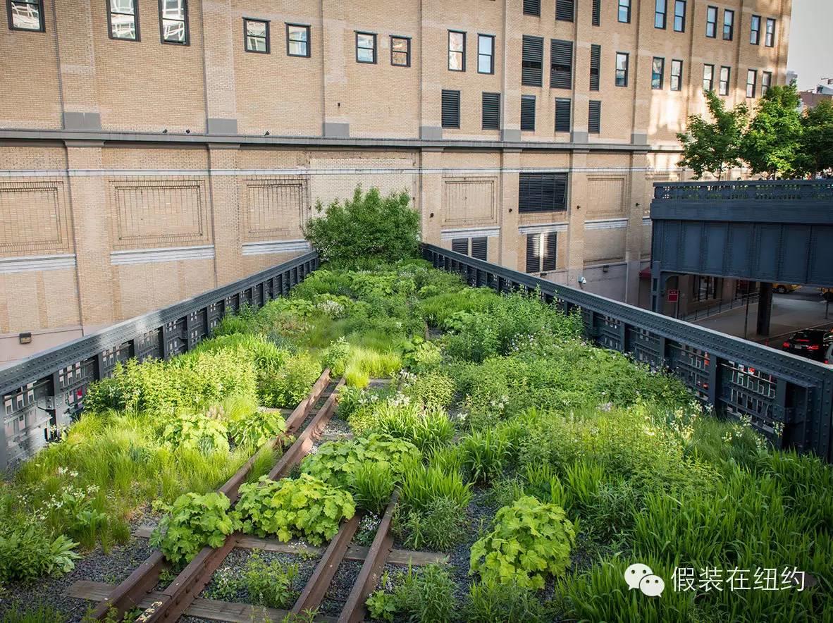 一段废弃的铁路造就的传奇 一段废弃的铁路造就的传奇