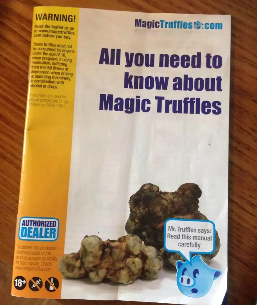 在阿姆斯特丹吃迷幻蘑菇是一种什么样的体验? 在阿姆斯特丹吃迷幻蘑菇是一种什么样的体验?