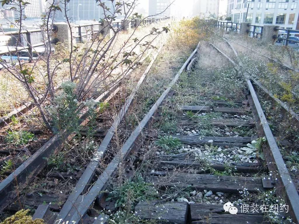 一段废弃的铁路造就的传奇 一段废弃的铁路造就的传奇