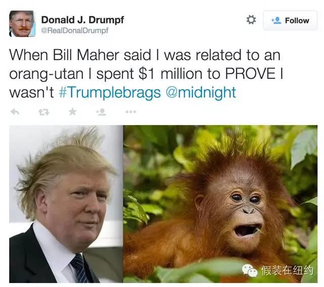 什么奇葩都来选总统,美国总统选举太不严肃了! 什么奇葩都来选总统,美国总统选举太不严肃了!