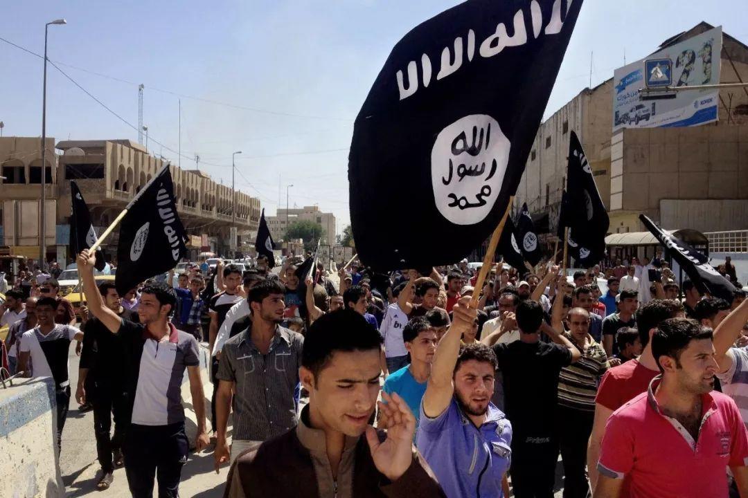 15000份从垃圾堆和废墟里找到的文件,揭开了一个大秘密 15000份从垃圾堆和废墟里找到的文件,揭开了一个大秘密