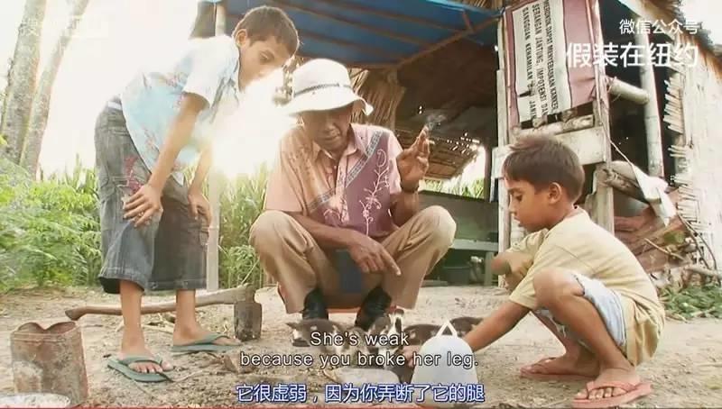 这部片子你看了一定会痛骂一万个fuck 这部片子你看了一定会痛骂一万个fuck