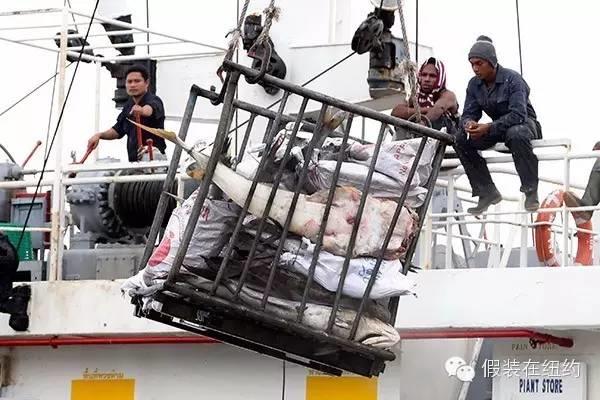 你吃的每条鱼都可能沾着另一个人的血和泪 | 2015年最牛逼的故事 你吃的每条鱼都可能沾着另一个人的血和泪 | 2015年最牛逼的故事