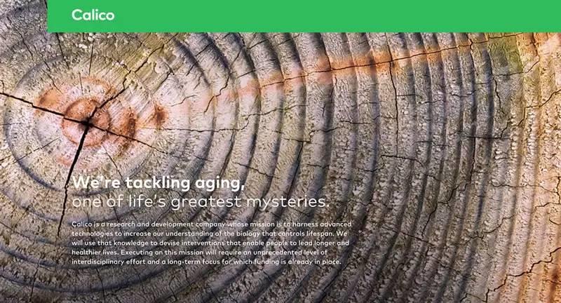 比阿尔法狗更可怕的,是谷歌要改变人类未来的野心 比阿尔法狗更可怕的,是谷歌要改变人类未来的野心