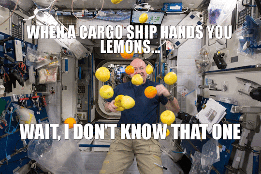 今天,全世界都在欢迎他们回家 今天,全世界都在欢迎他们回家