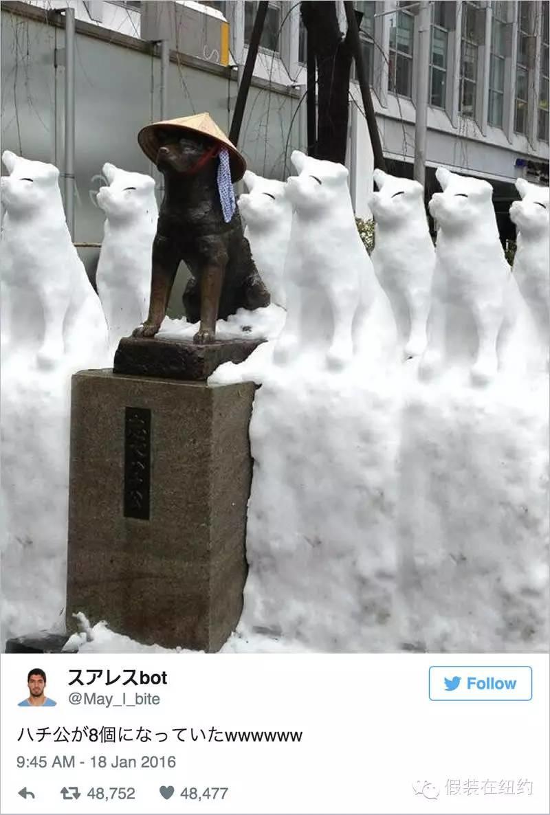 听说今天东京下了第一场雪,这张照片把我吓到了 听说今天东京下了第一场雪,这张照片把我吓到了