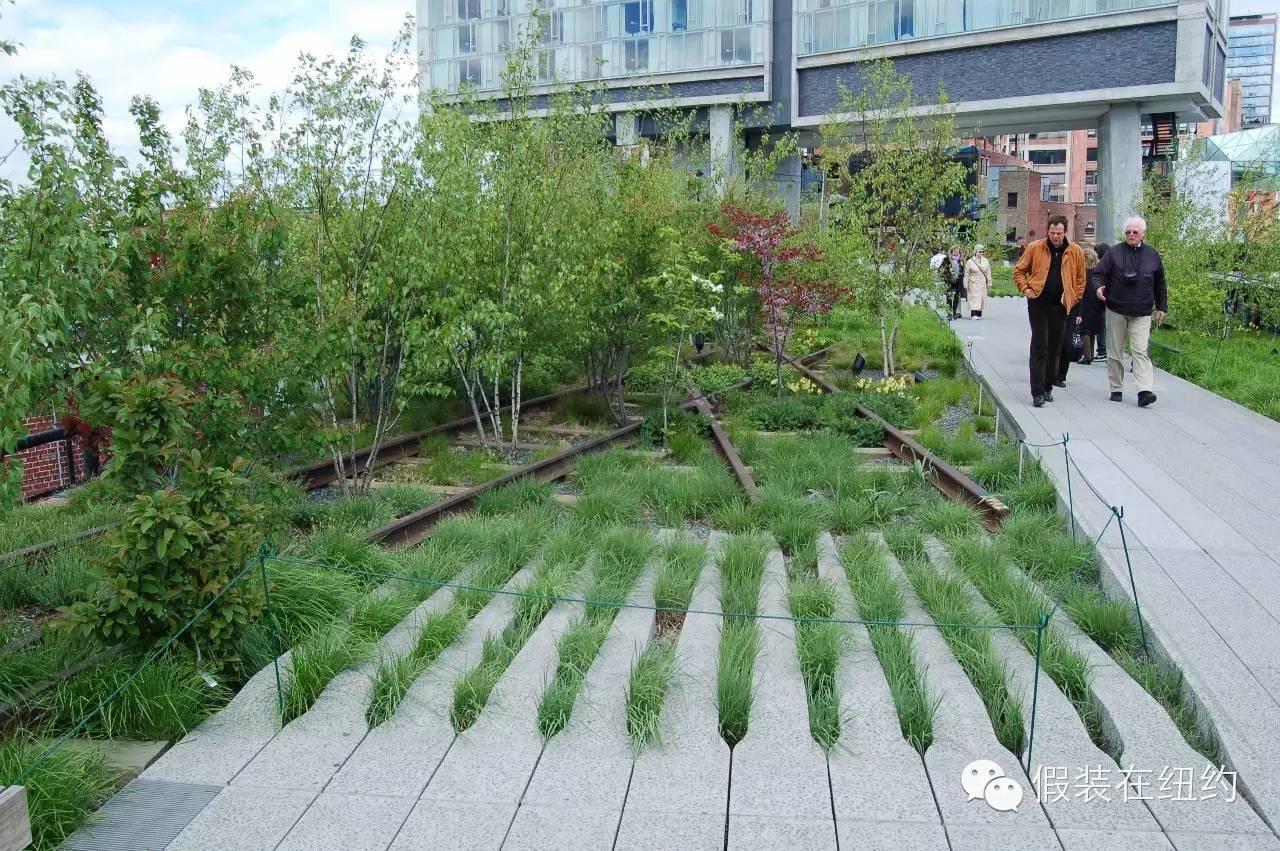 一段废弃的铁路造就的传奇 一段废弃的铁路造就的传奇