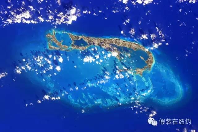 今天,全世界都在欢迎他们回家 今天,全世界都在欢迎他们回家