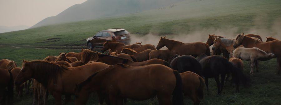 全世界风景最美的公路在哪里?在中国。 全世界风景最美的公路在哪里?在中国。