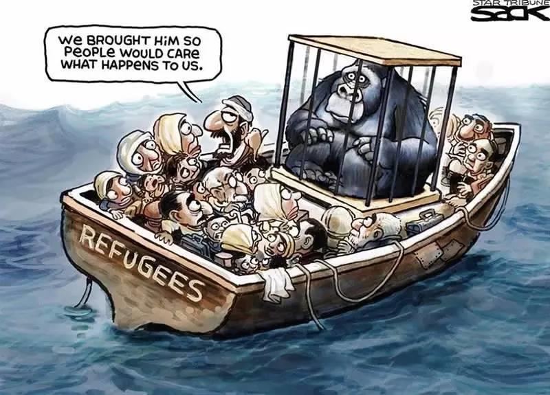 当全世界在为一只大猩猩的死愤怒的时候,1000个人正在地中海里静静地死去 当全世界在为一只大猩猩的死愤怒的时候,1000个人正在地中海里静静地死去