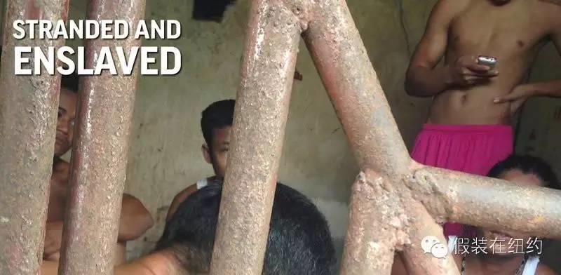 你吃的每条鱼都可能沾着另一个人的血和泪 | 2015年最牛逼的故事 你吃的每条鱼都可能沾着另一个人的血和泪 | 2015年最牛逼的故事