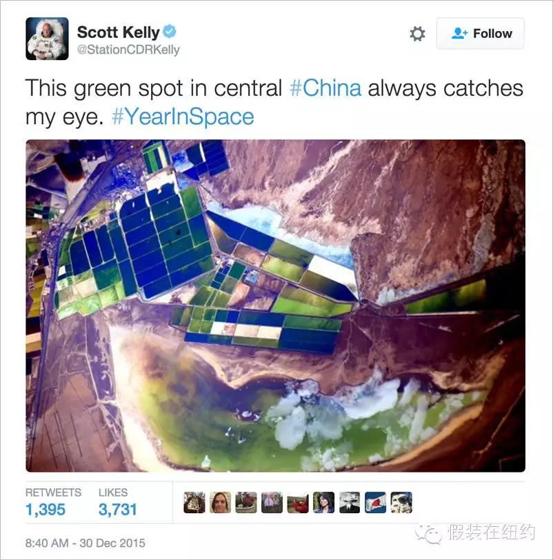 今天,全世界都在欢迎他们回家 今天,全世界都在欢迎他们回家