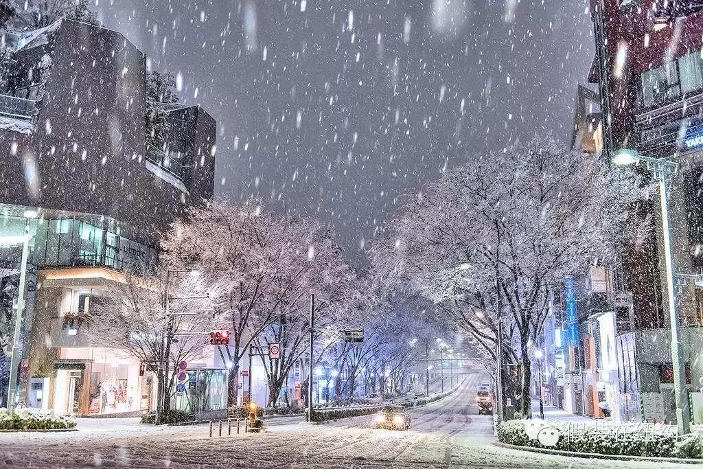 听说今天东京下了第一场雪,这张照片把我吓到了 听说今天东京下了第一场雪,这张照片把我吓到了